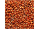 TOHO Glass Seed Bead, Size 11, 2.1mm, PermaFinish - Galvanized Saffron (Tube)