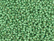 TOHO Glass Seed Bead, Size 11, 2.1mm, PermaFinish - Frosted Galvanized Mint Green (Tube)