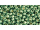 TOHO Glass Seed Bead, Size 11, 2.1mm, PermaFinish - Galvanized Mint Green (Tube)