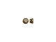 TierraCast Antiqued Brass Plated Bead Caps, Cast, Beaded (100 Pieces)