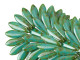 CzechMates Glass 16 x 5mm Gulf Turquoise Picasso Two-Hole Dagger Bead (50pc Strand)