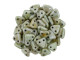 CzechMates 2-Hole Triangle Beads 6mm - Opaque Luster Green