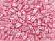 CzechMates Glass 3 x 6mm 2-Hole Pearl Coat Flamingo Bar Bead 2.5-Inch Tube