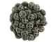 CzechMates Glass, 4-Hole QuadraLentil Beads 6mm, Matte Metallic Leather