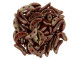 CzechMates Glass 4 x 10mm 2-Hole Opaque Red Bronze Picasso Crescent Bead 2.5-Inch Tube