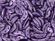 CzechMates Glass 4 x 10mm ColorTrends Saturated Metallic Crocus Petal 2-Hole Crescent Bead 2.5-Inch Tube