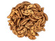 CzechMates Glass 4 x 10mm ColorTrends Saturated Metallic Russet Orange 2-Hole Crescent Bead 2.5-Inch Tube