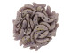 CzechMates Glass 4 x 10mm 2-Hole Pacifica Fig Crescent Bead 2.5-Inch Tube