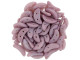 CzechMates Glass 4 x 10mm 2-Hole ColorTrends Opaque Dusty Cedar Crescent Bead 2.5-Inch Tube