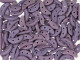 CzechMates Glass 4 x 10mm 2-Hole Matte Opaque Purple Crescent Bead 2.5-Inch Tube