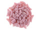 CzechMates Glass 4 x 10mm 2-Hole Matte Coral Pink Crescent Bead 2.5-Inch Tube