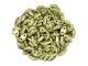 CzechMates Diamond 4 x 6mm ColorTrends Saturated Metallic Limelight Czech Glass 2-Hole Bead 2.5-Inch Tube