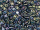 CzechMates Diamond 4 x 6mm Oxidized Bronze Czech Glass 2-Hole Beads, 2.5-Inch Tube
