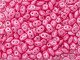 Matubo SuperDuo 2 x 5mm Baby Pink Pearl Shine 2-Hole Seed Bead 2.5-Inch Tube