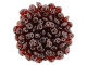 Matubo SuperDuo 2 x 5mm Siam Ruby - Vega 2-Hole Seed Bead 2.5-Inch Tube Matubo SuperDuo 2 x 5mm Siam Ruby - Vega 2-Hole Seed Bead 2.5-Inch Tube