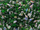 Matubo SuperDuo 2 x 5mm Matte Green Vitral 2-Hole Seed Bead 2.5-Inch Tube