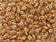 Matubo SuperDuo 2 x 5mm White Apricot 2-Hole Seed Bead 2.5-Inch Tube