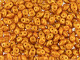 Matubo SuperDuo 2 x 5mm Orange Gold Shine 2-Hole Seed Bead 2.5-Inch Tube