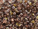 Hints of blush pink color mixes with metallic gold and copper in these Matubo SuperDuo beads. Create intricate jewelry designs with Czech glass seed beads! Featuring a unique shape and two stringing holes, these seed beads add a special touch of creativity to your designs. They have tapered edges and nest up nicely when strung, making them ideal for floral and woven designs. Add a special touch to your jewelry with Czech glass seed beads!  