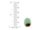 Dakota Stones Australian Chrysoprase 13x18-15x18mm 5 Piece Irregular Oval Bead Strand