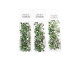 Flat Back Rhinestones ss20 (4.7mm) - Peridot (144pcs)