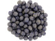 Fire-Polish 4mm : Pacifica - Elderberry (50pcs)