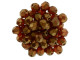 Fire-Polish 6mm : Bronze – Hyacinth  (25pcs)