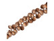 Antiqued Copper Plated Shell Chain (meter)