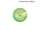PRESTIGE 1122 Rivoli Stone, 12mm - Ultra AB Lime (Each)