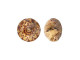 PRESTIGE 1400 Domed Round Stone, 10mm - Light Colorado Topaz (Each)