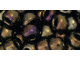 TOHO Glass Seed Bead, Size 3, Metallic Iris - Brown (Tube)