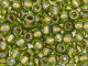 TOHO Glass Seed Bead, Size 3, Gold-Lined Peridot (Tube)