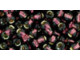 TOHO Glass Seed Bead, Size 6, Silver-Lined Amethyst (Tube)