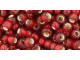 TOHO Glass Seed Bead, Size 6, Silver-Lined Frosted Ruby (Tube)