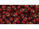 TOHO Glass Seed Bead, Size 6, Silver-Lined Garnet (Tube)