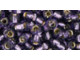 TOHO Glass Seed Bead, Size 6, Silver-Lined Tanzanite (Tube)