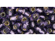 TOHO Glass Seed Bead, Size 6, Silver-Lined Tanzanite (Tube)