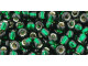 TOHO Glass Seed Bead, Size 6, Silver-Lined Green Emerald (Tube)