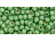TOHO Glass Seed Bead, Size 6, PermaFinish - Galvanized Matte Seafoam (Tube)