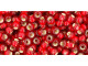 TOHO Glass Seed Bead, Size 8, 3mm, Silver-Lined Frosted Siam Ruby (Tube)