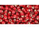 TOHO Glass Seed Bead, Size 8, 3mm, Silver-Lined Frosted Ruby (Tube)