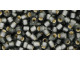 TOHO Glass Seed Bead, Size 8, 3mm, Silver-Lined Frosted Gray (Tube)