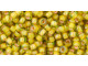 TOHO Glass Seed Bead, Size 8, 3mm, Inside-Color Jonquil/Apricot-Lined (Tube)