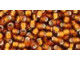 TOHO Glass Seed Bead, Size 8, 3mm, Silver-Lined Frosted Smoky Topaz (Tube)