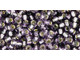 TOHO Glass Seed Bead, Size 8, 3mm, Silver-Lined Tanzanite (Tube)