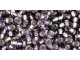 TOHO Glass Seed Bead, Size 8, 3mm, Silver-Lined Tanzanite (Tube)