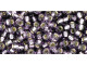 TOHO Glass Seed Bead, Size 8, 3mm, Silver-Lined Tanzanite (Tube)