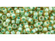 TOHO Glass Seed Bead, Size 8, 3mm, Inside-Color Topaz/Mint Julep-Lined (Tube)