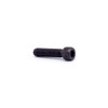 IPM Socket head cap screw 1