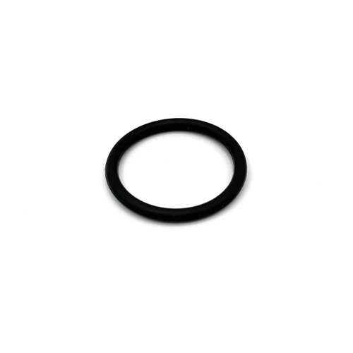 Graco Probler P2 PACKING - O-RING 5